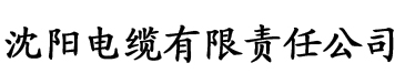 91香蕉视频网站导航电缆厂logo